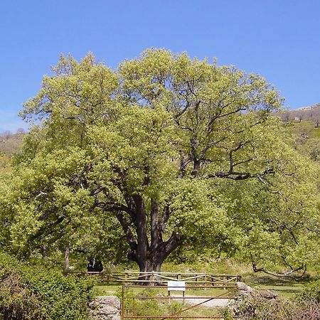 Casa Rural Romanejo Cabezabellosa Esterno foto